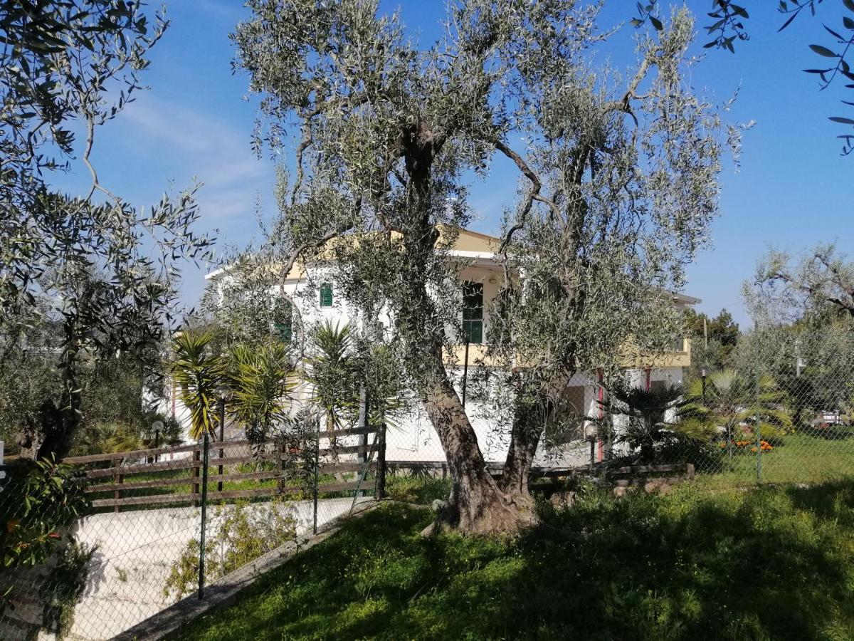 Villa Elisa В'єсте Екстер'єр фото