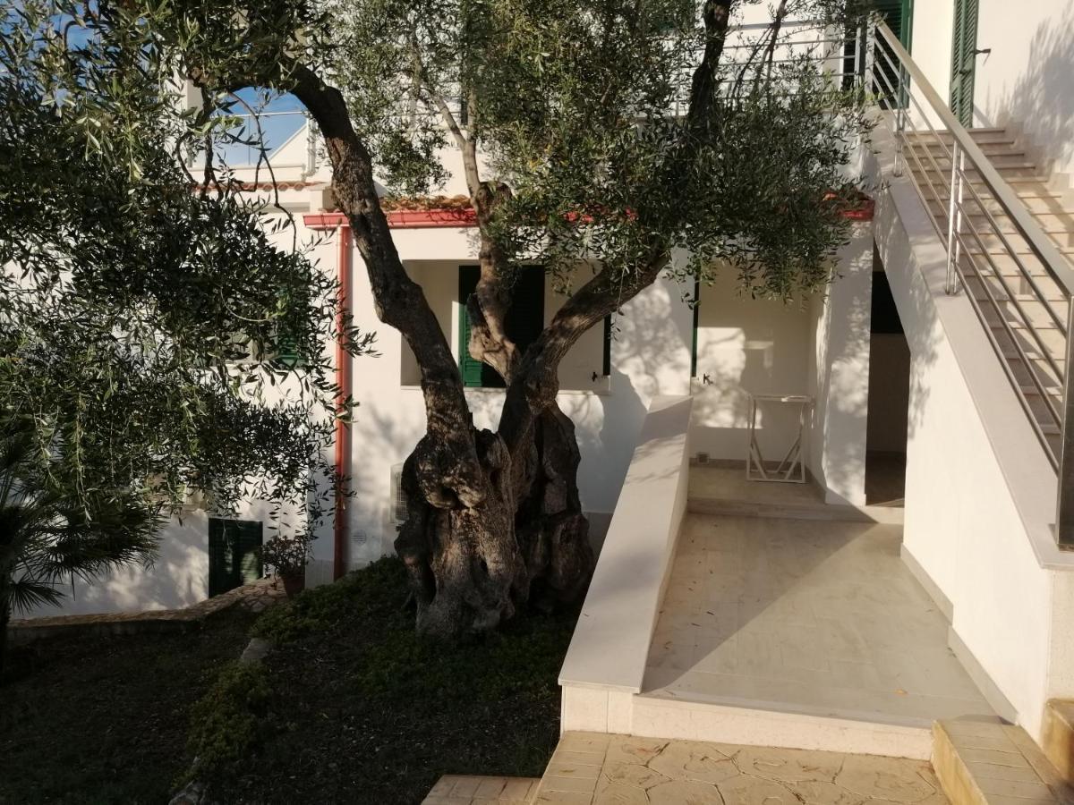 Villa Elisa В'єсте Екстер'єр фото